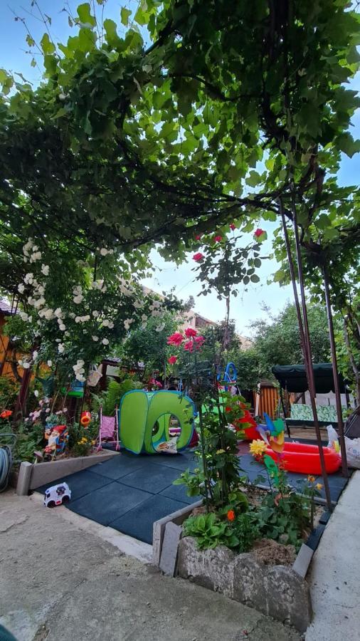 Garsoniera Cocheta Zona Coresi Mall Braşov Eksteriør billede